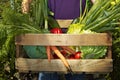 Une personne porte une caisse en bois remplie de divers légumes. Une personne porte une caisse en bois remplie de divers légumes.