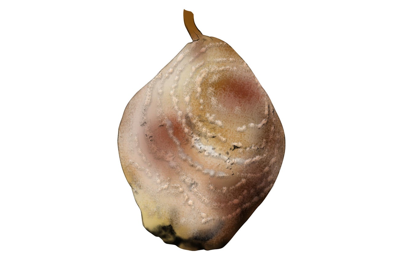 Une seule poire trop mûre.