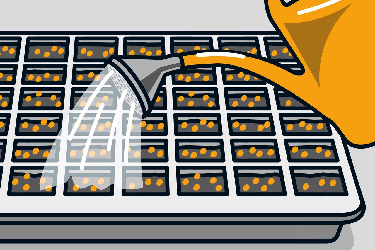 Illustration einer Anzuchtplatte mit Saatgut, die mit einer Gießkanne bewässert wird