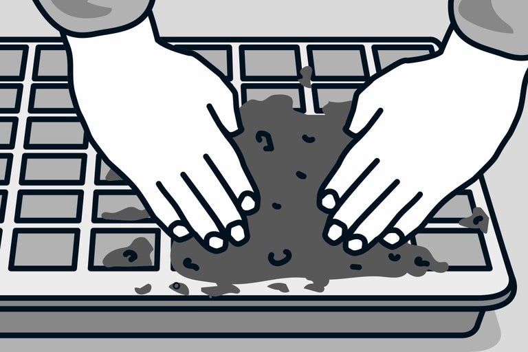 Illustration d'une personne remplissant de terre une plaque de culture.