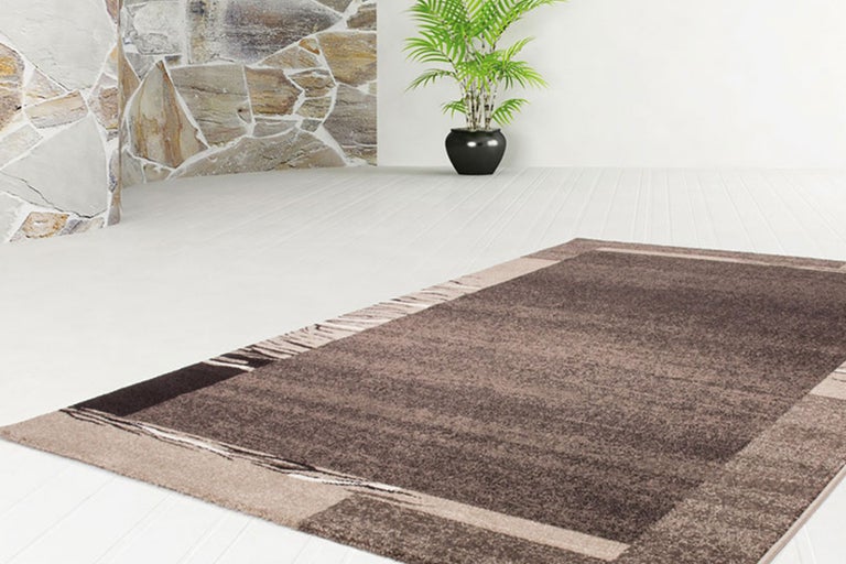 Tapis moderne dans un salon avec décor en pierre et plante en pot
