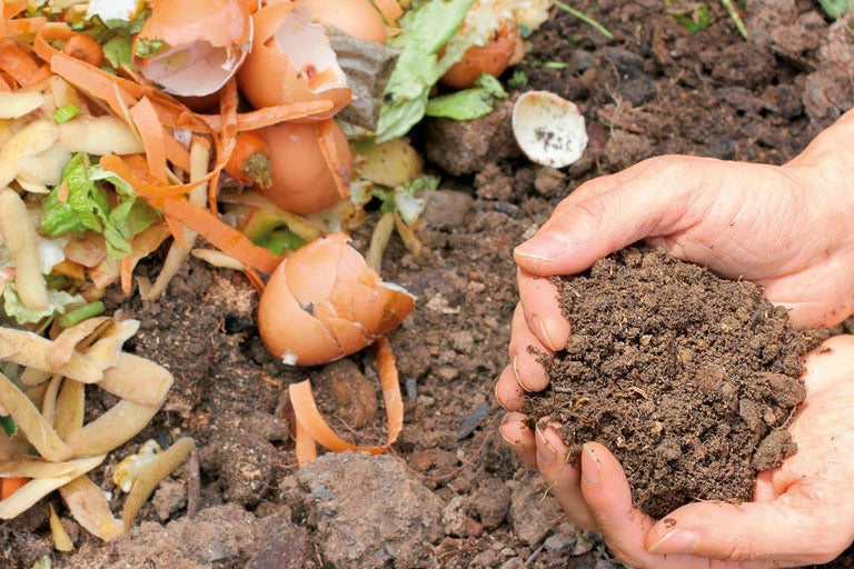 Gros plan sur du compost avec des restes de nourriture et de la terre tenue dans les mains.