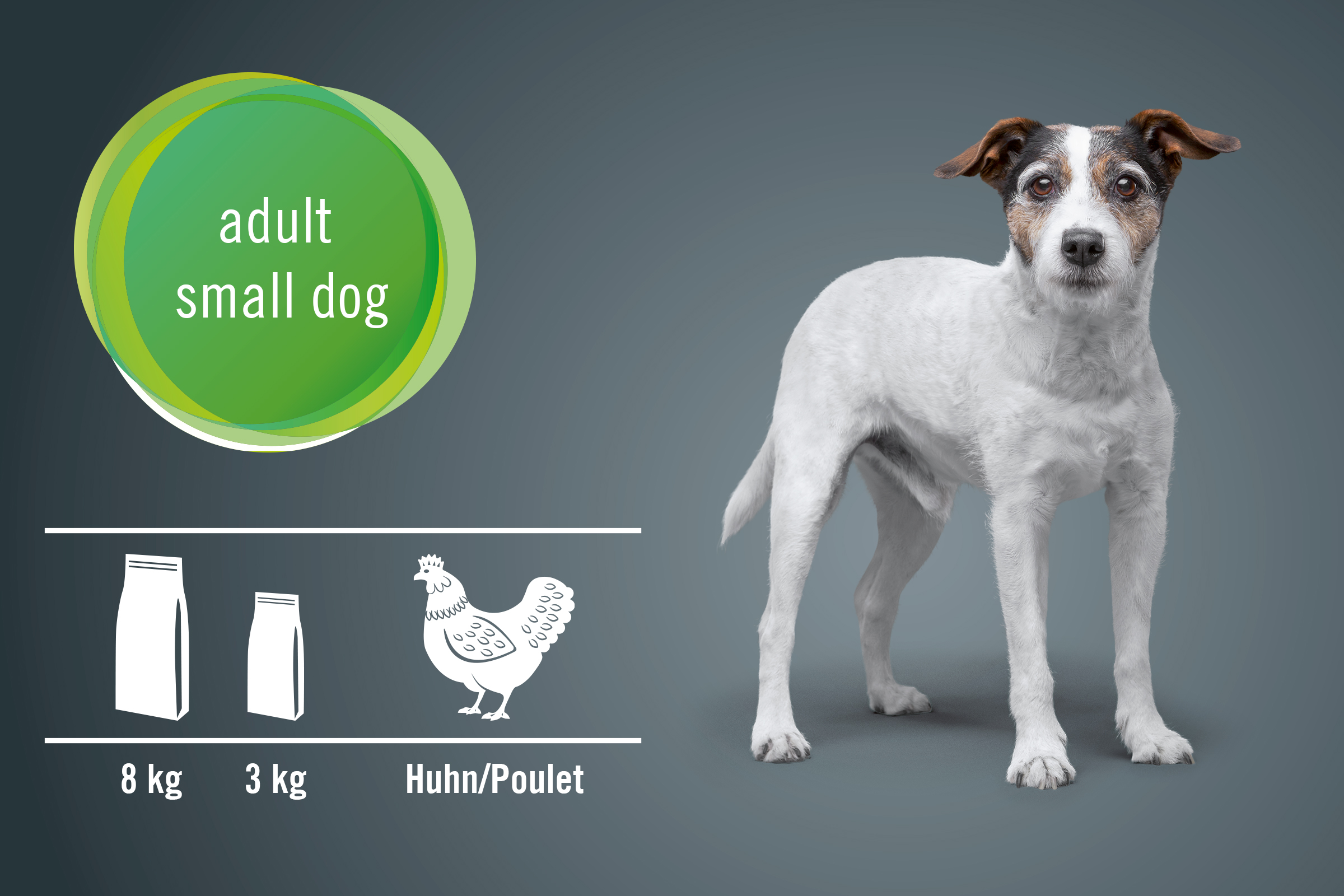 Hundefutter für ausgewachsene kleine Hunde mit Geflügel in 3 kg und 8 kg Packungen