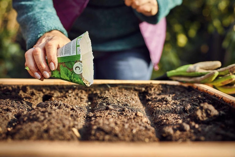 Une personne sème des graines dans un potager surélevé.