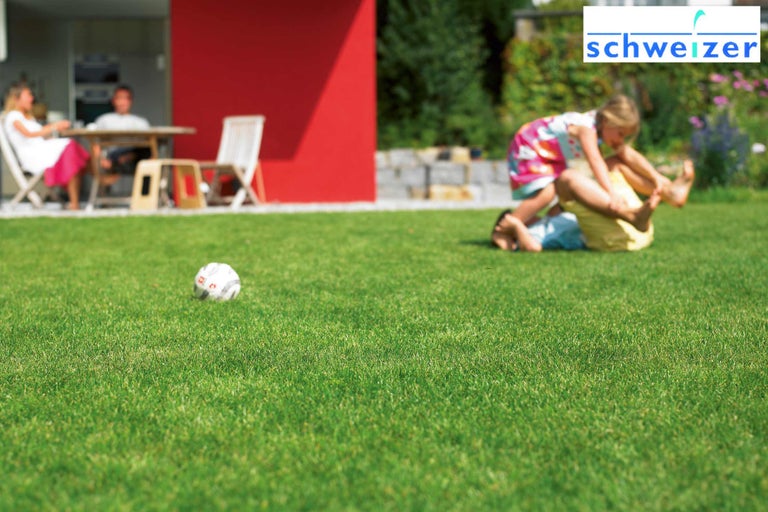 Jardin avec pelouse, enfants qui jouent et ballon de foot