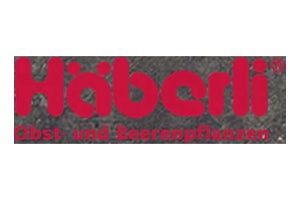 Logo Haeberli