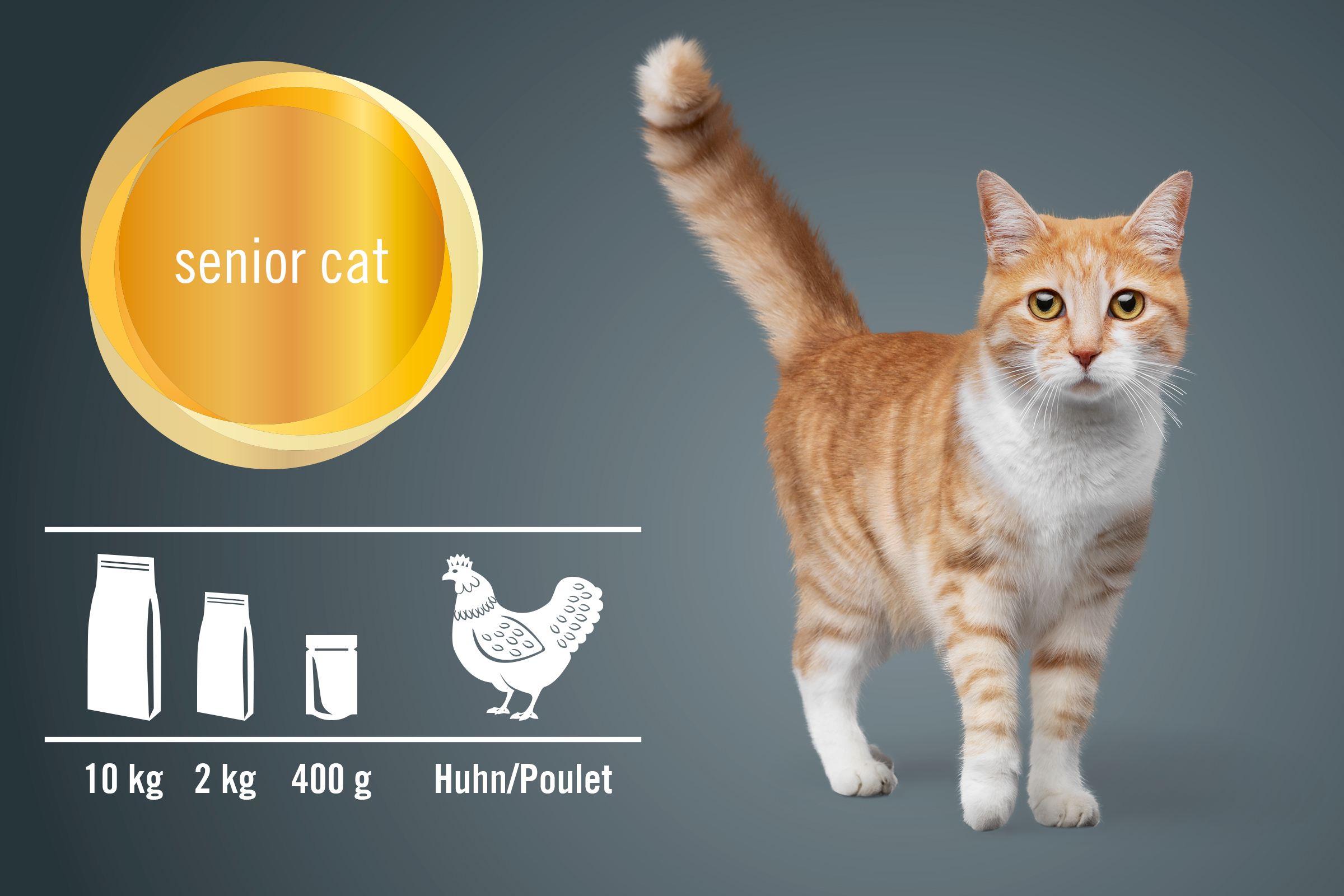 Katzenfutter für ältere Katzen, erhältlich in 10 kg, 2 kg und 400 g Packungen, mit Hühnchengeschmack