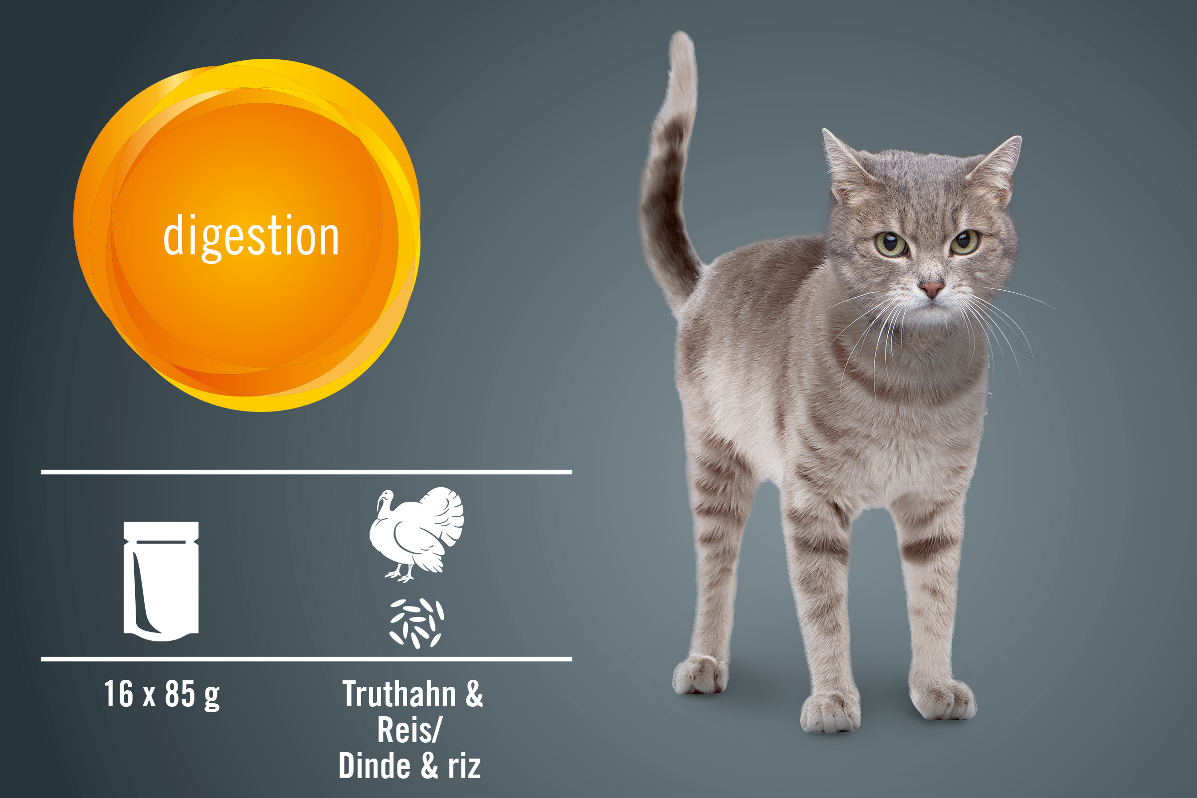 Katzenfutter für die Verdauung mit Truthahn und Reis, 16 mal 85 Gramm
