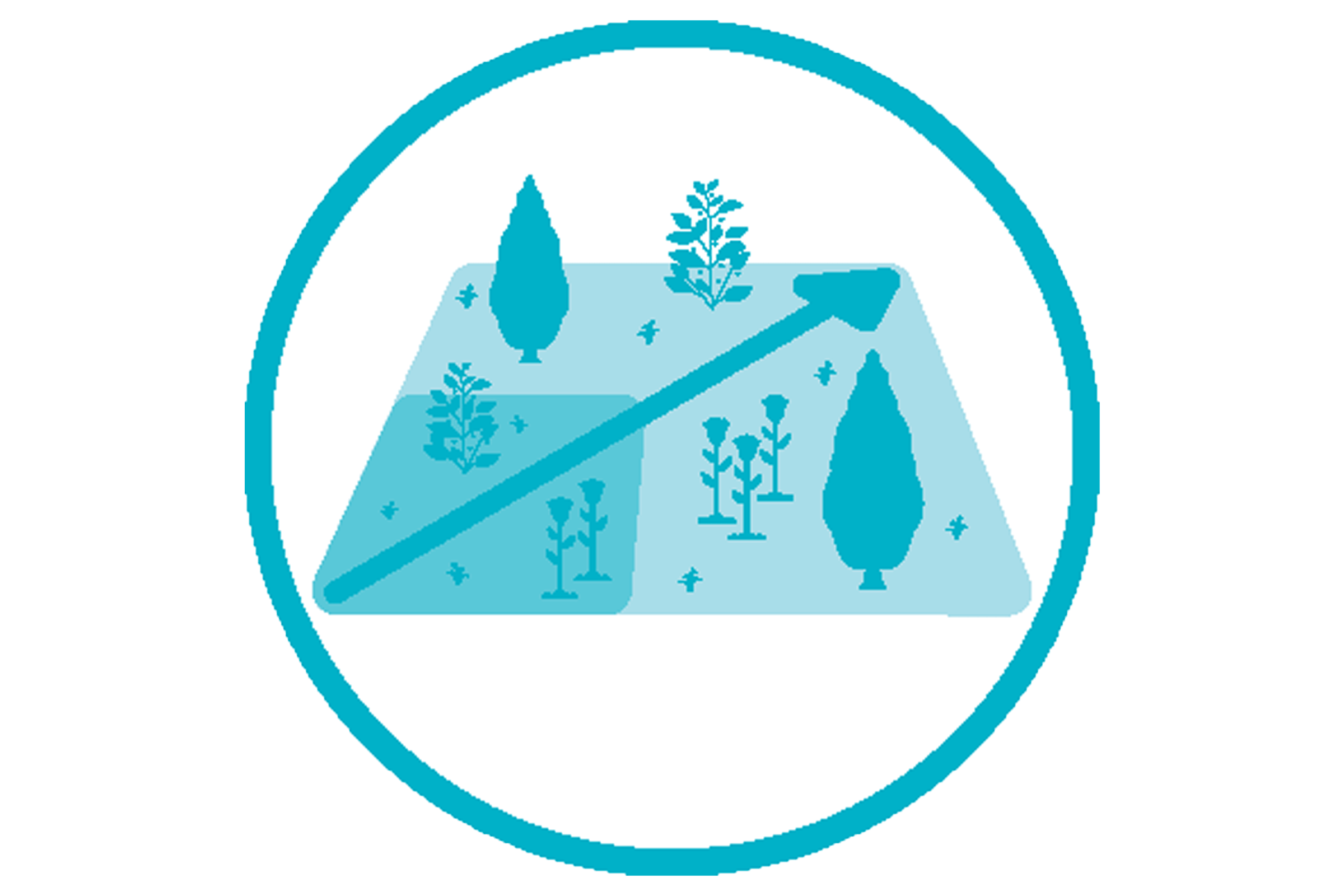 Symbol für Pflanzenwachstum