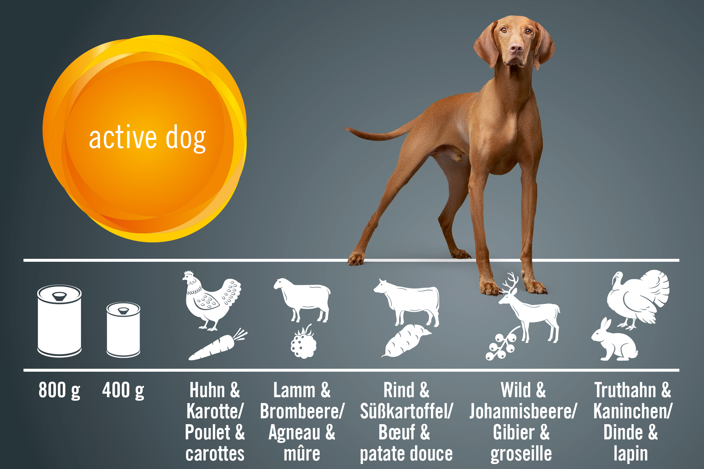 Illustration von Hundefutter für aktive Hunde mit Huhn, Lamm, Rind, Wild, Truthahn und Gemüse