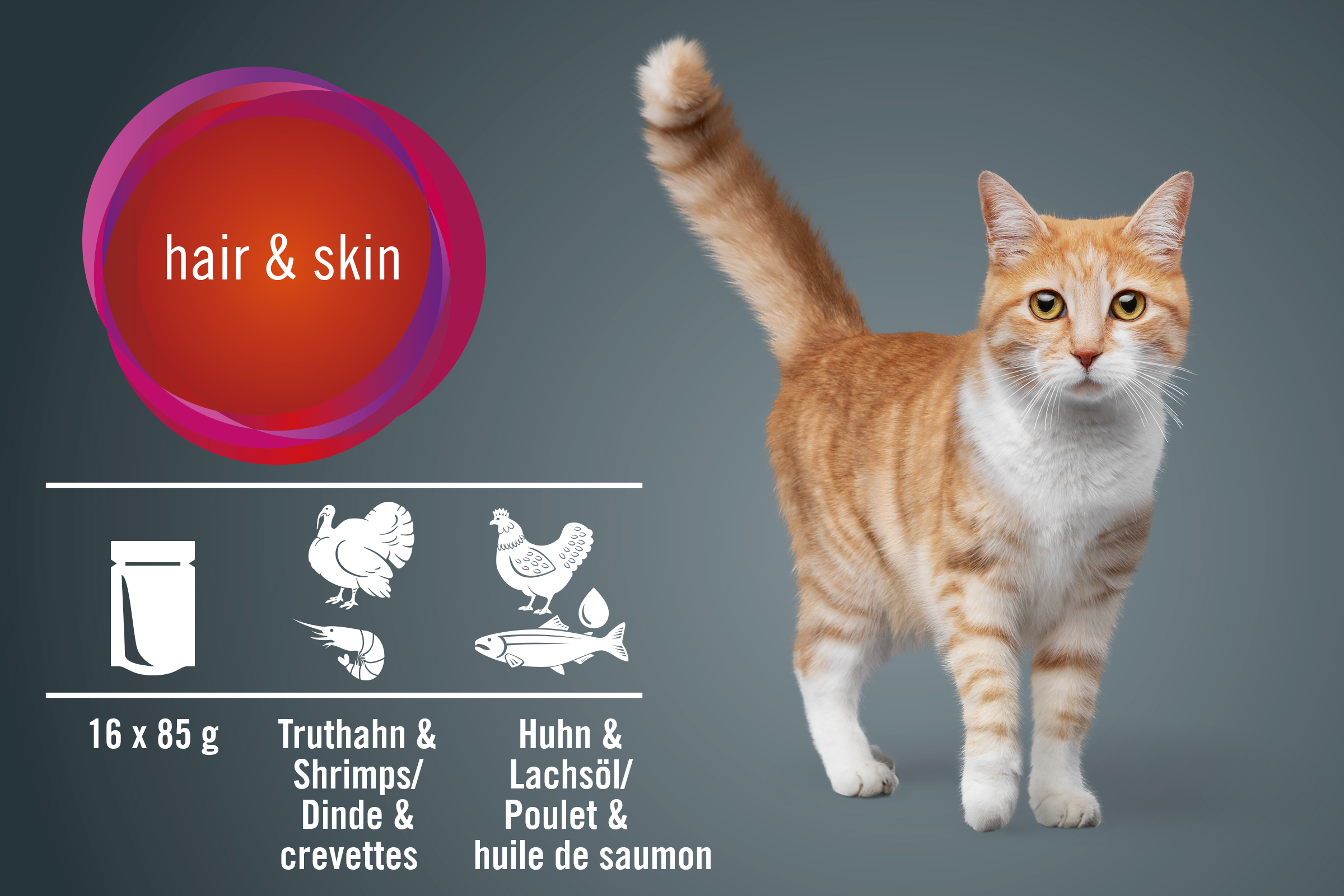 Katzenfutter für Fell und Haut mit Truthahn, Shrimps, Huhn und Lachsöl, 16 mal 85 Gramm