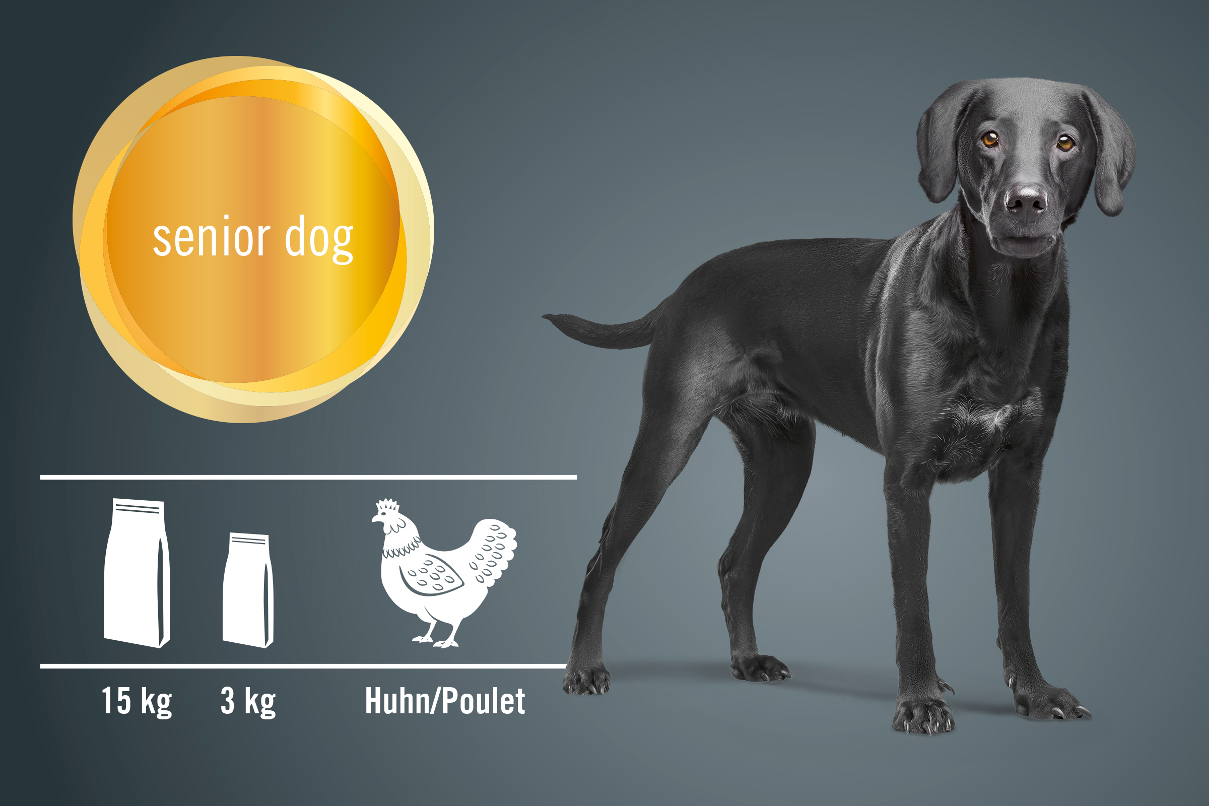 Illustration von Hundefutter für ältere Hunde mit Huhn in 15 kg und 3 kg Packungen