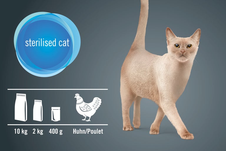 Aliment pour chats stérilisés au poulet et de différentes tailles d'emballage