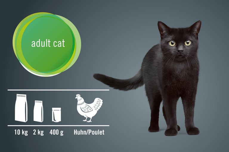 Aliment pour chats adultes au poulet, disponible en paquets de 10 kg, 2 kg et 400 g