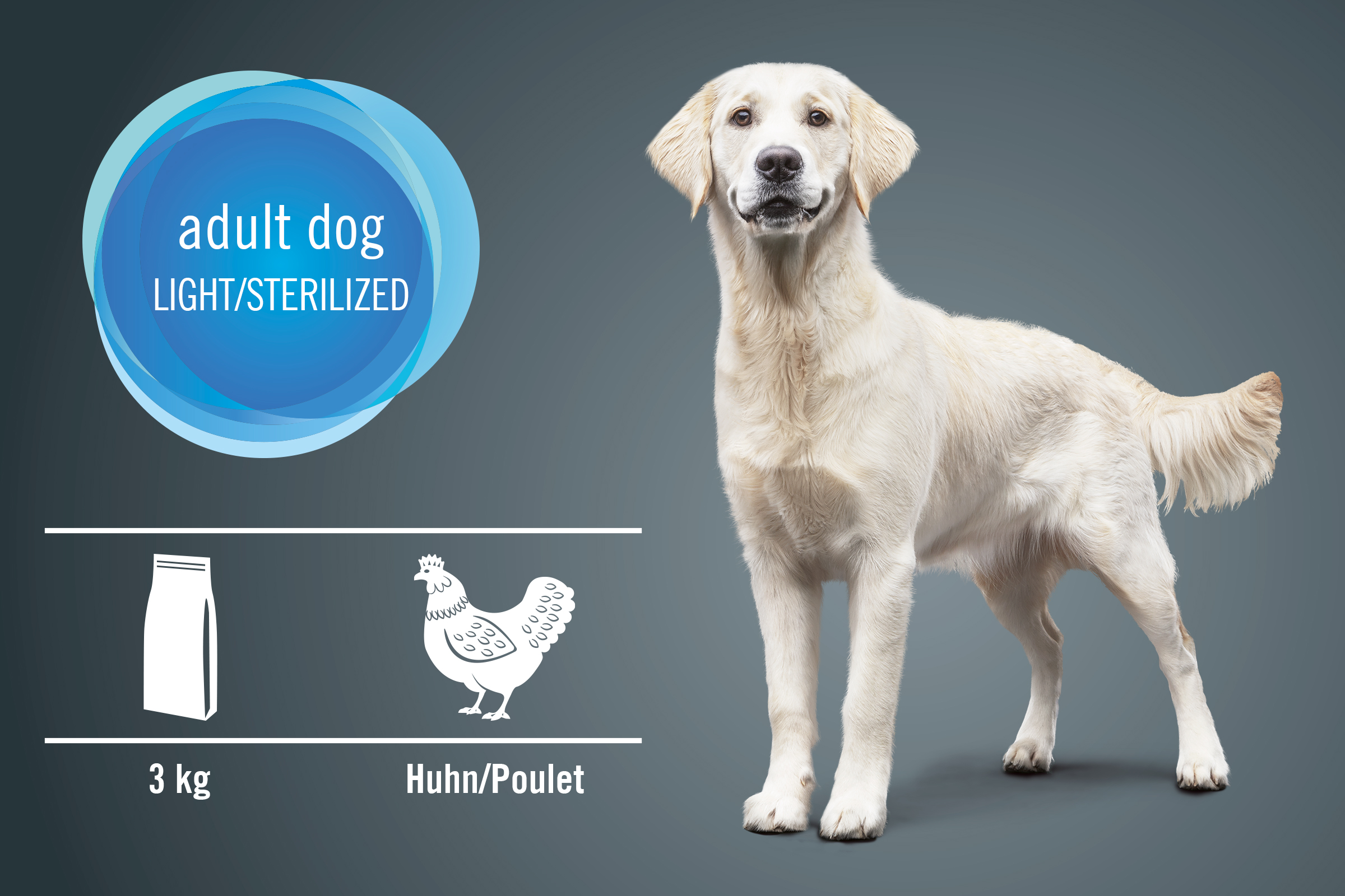 Hundefutter für ausgewachsene Hunde, Light oder sterilisiert, 3 Kilogramm, Geschmacksrichtung Huhn