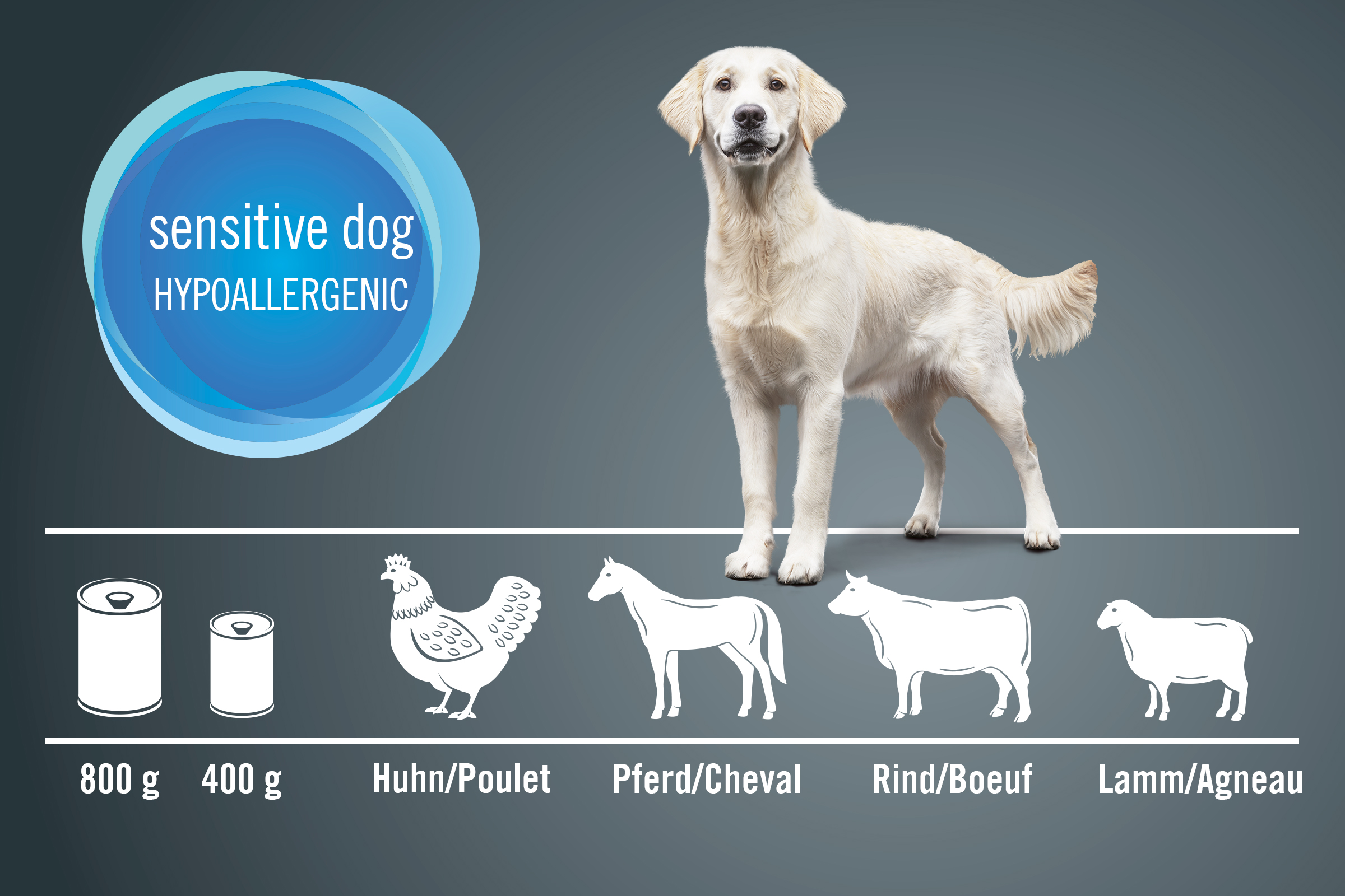 Illustration von hypoallergenem Hundefutter für sensible Hunde mit den Inhaltsstoffen Huhn, Pferd, Rind und Lamm