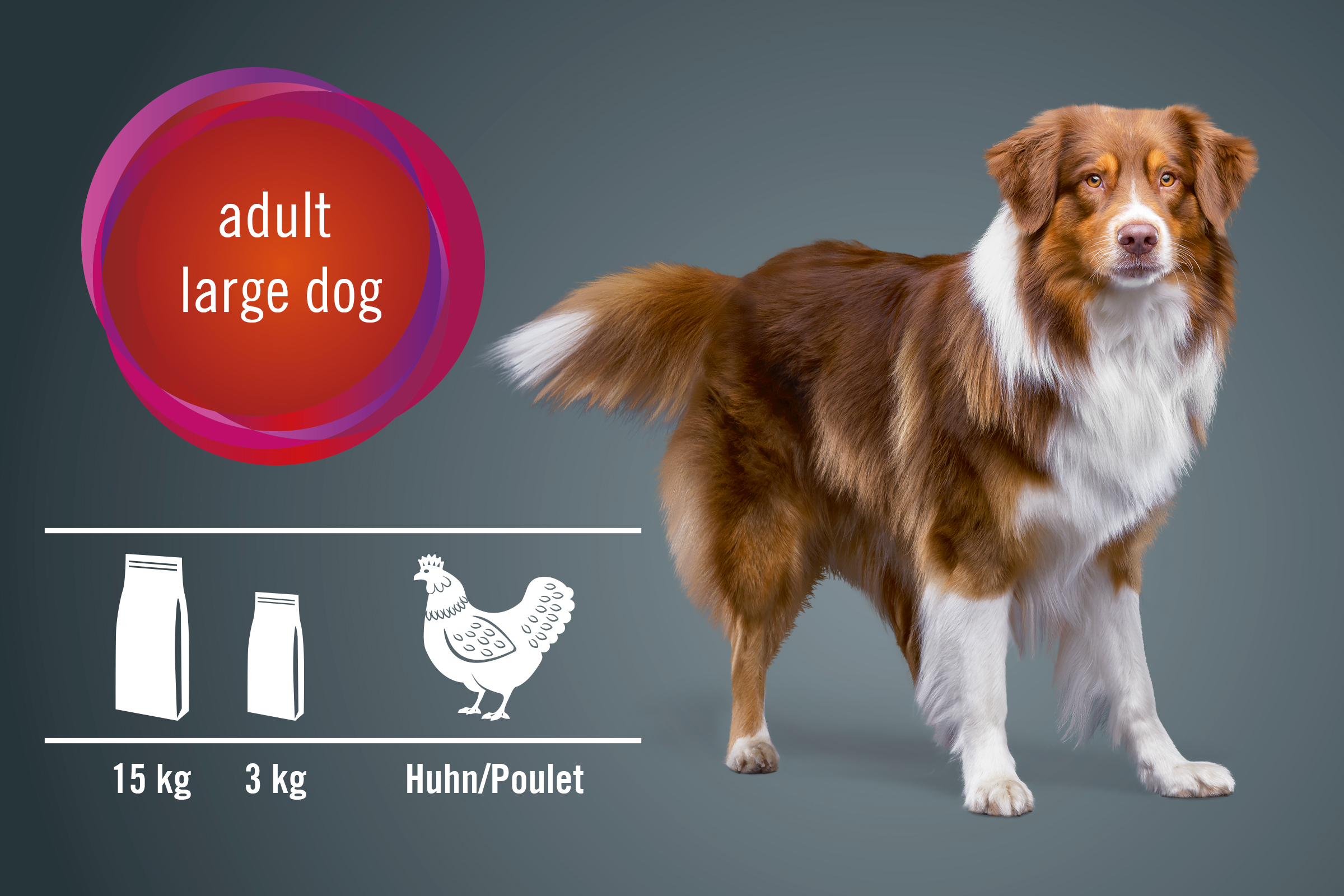 Illustration von Hundefutter für ausgewachsene, große Hunde mit Geflügelgeschmack in 15-Kilogramm- und 3-Kilogramm-Säcken