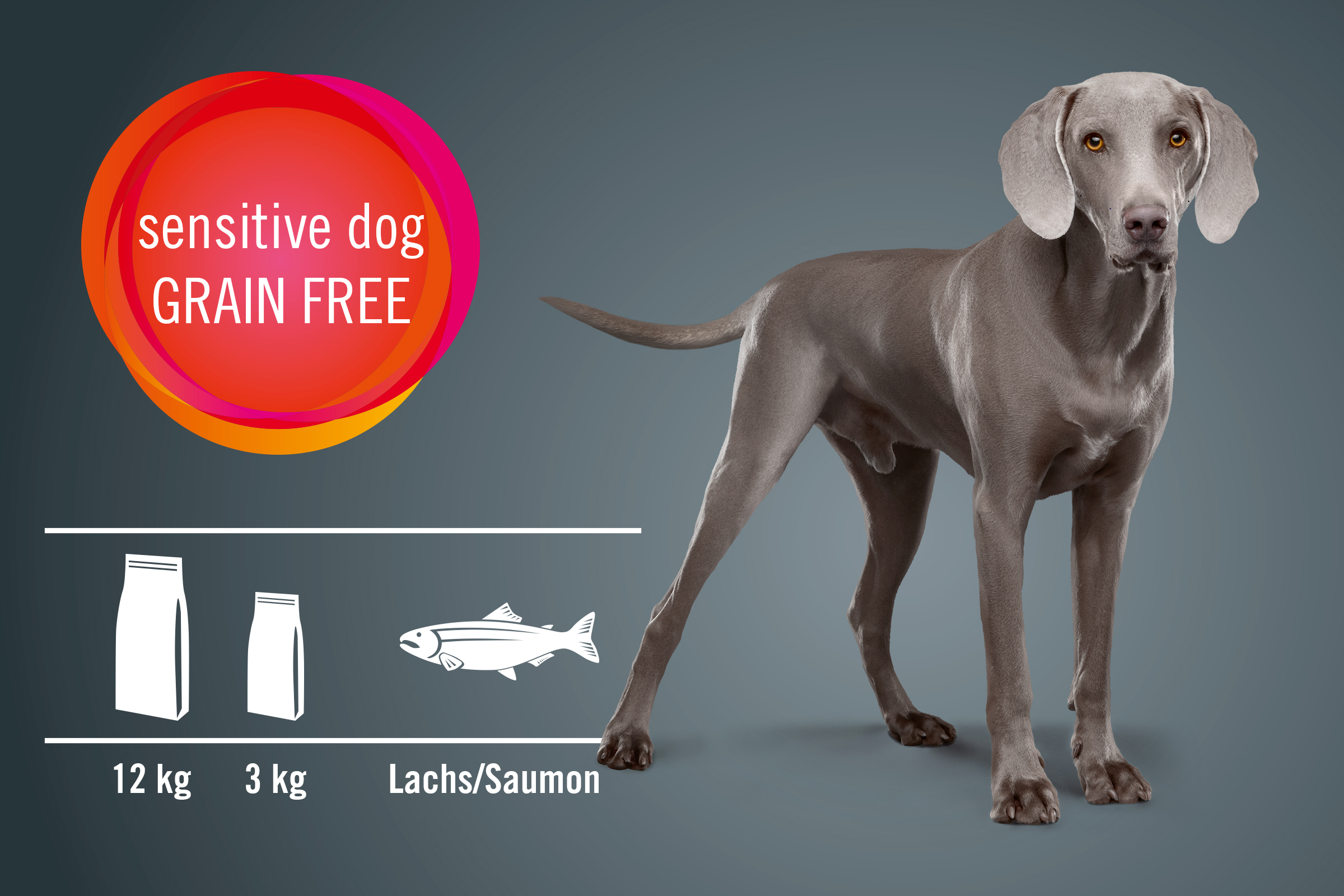 Hund trockenfutter, getreidefrei für sensible Hunde mit Lachs in 12 Kilogramm und 3 Kilogramm Packungen