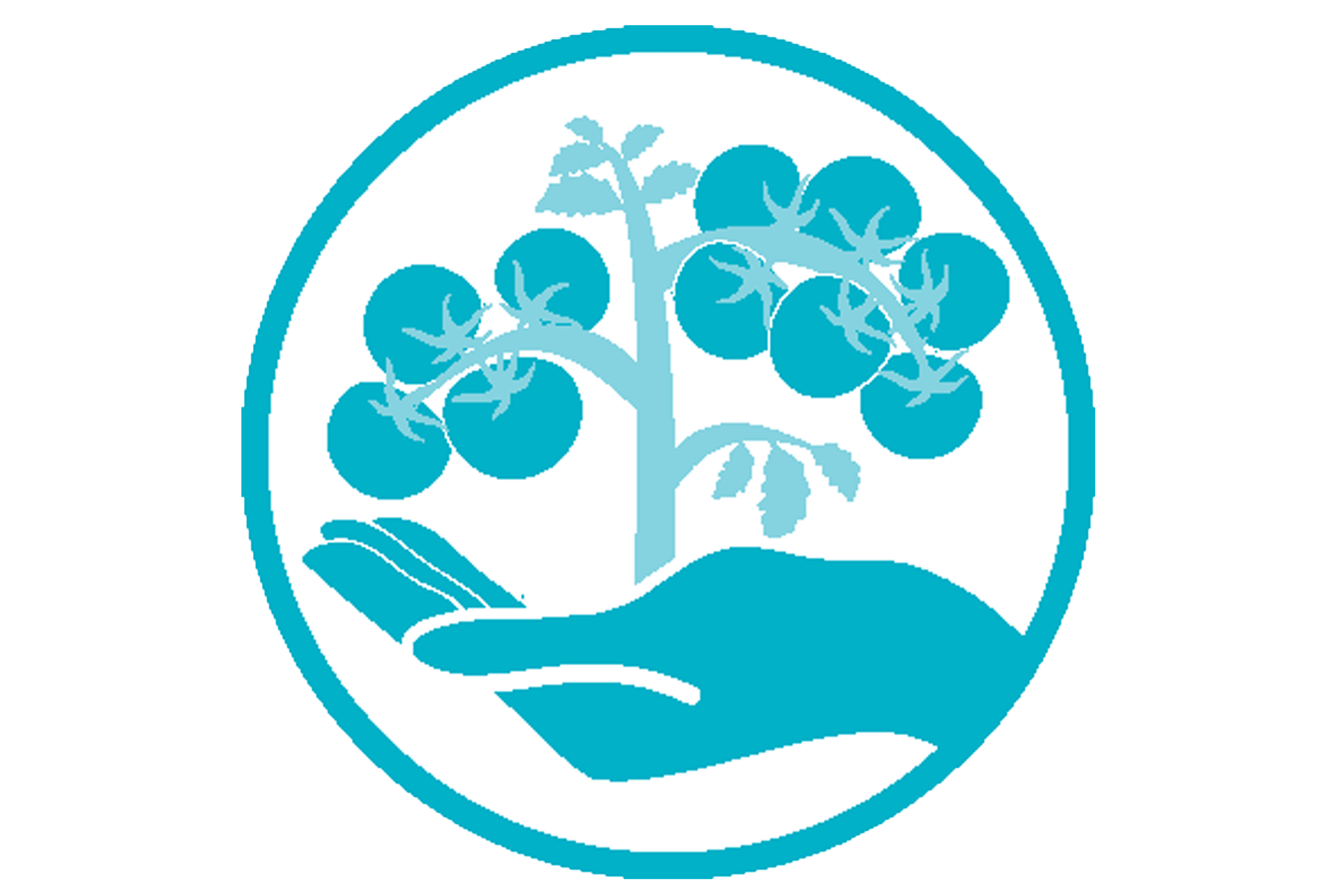 Symbol für biologischen Anbau mit Tomatenpflanze in der Hand