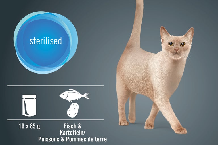Aliment pour chats stérilisés au poisson et aux pommes de terre, 16 fois 85 grammes