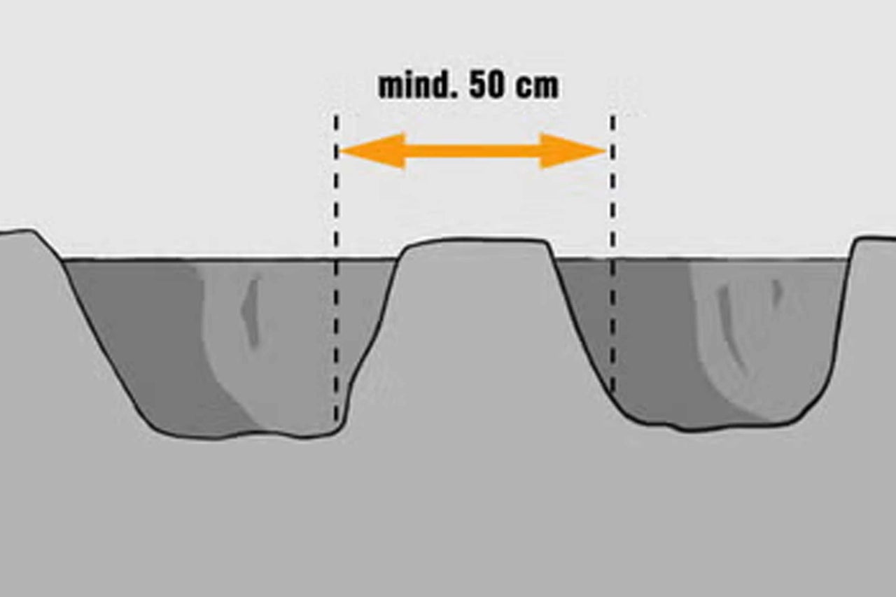 Illustration, die den Pflanzabstand von mindestens 50 Zentimetern zeigt