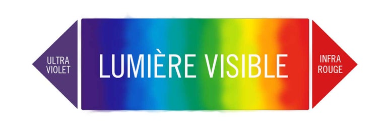 Diagramme du spectre de la lumière visible avec ultraviolet et infrarouge