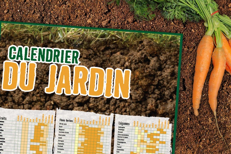 Calendrier de jardin avec légumes et carottes