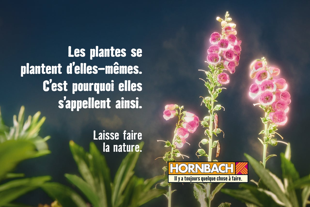 Fleurs dans le jardin avec le logo Hornbach