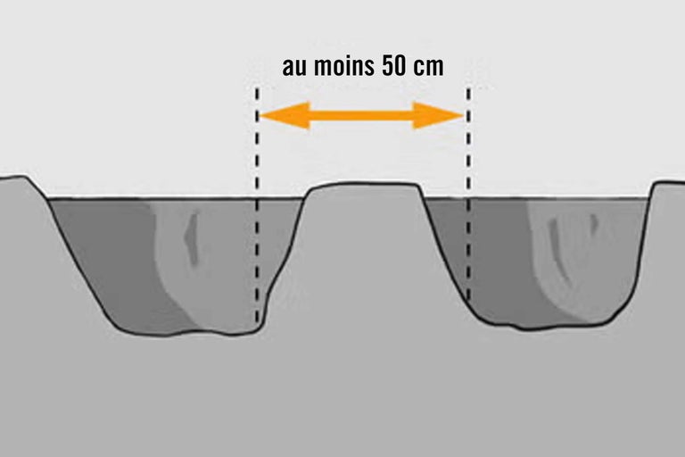 Schéma illustrant un espacement des plants d'au moins 50 centimètres