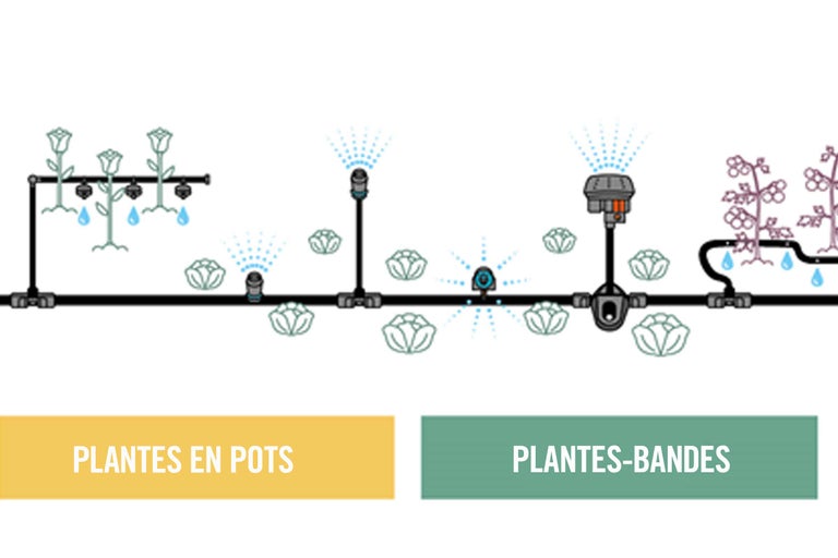 Illustration d'un système d'irrigation pour plantes en pot et plates-bandes