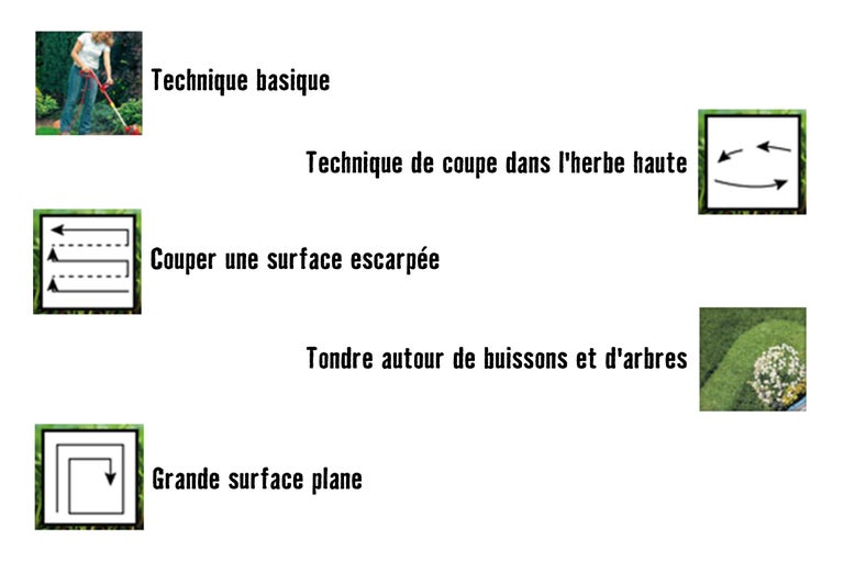 Illustration de différentes méthodes de tonte
