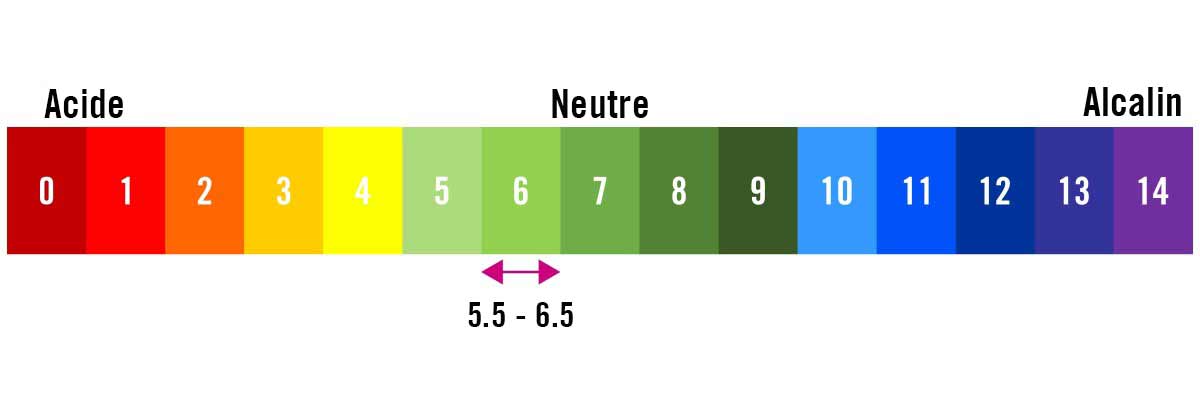 Échelle de pH allant de acide à alcalin
