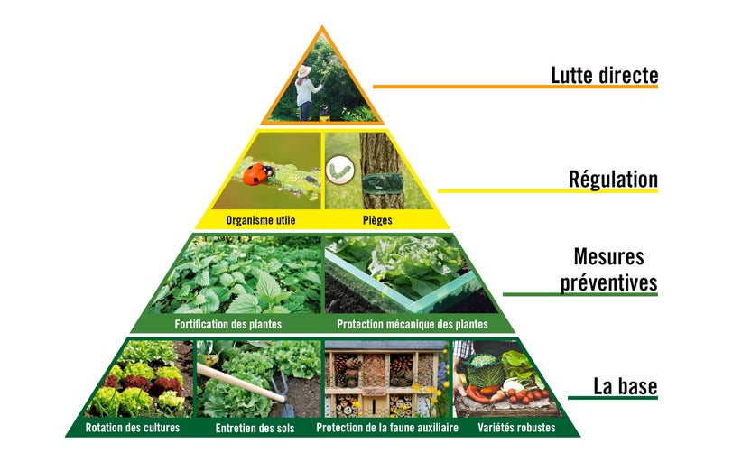 Pyramide des techniques horticoles pour la lutte antiparasitaire