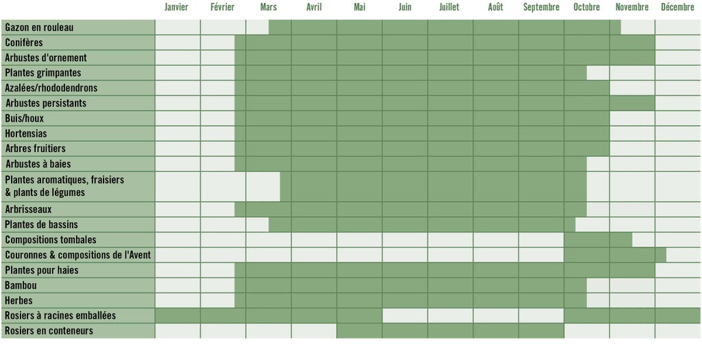 Calendrier de plantation pour différents types de plantes
