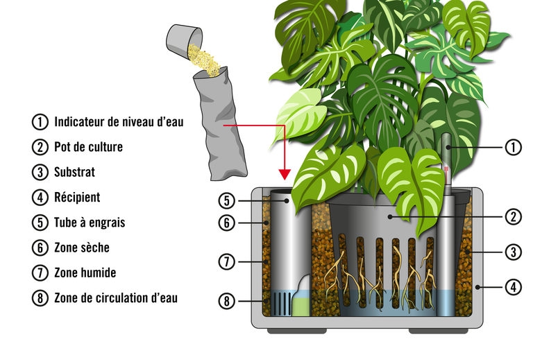 Illustration d'un système d'irrigation automatique pour plantes avec substrat, pot de culture, indicateur de niveau d'eau et apport de nutriments