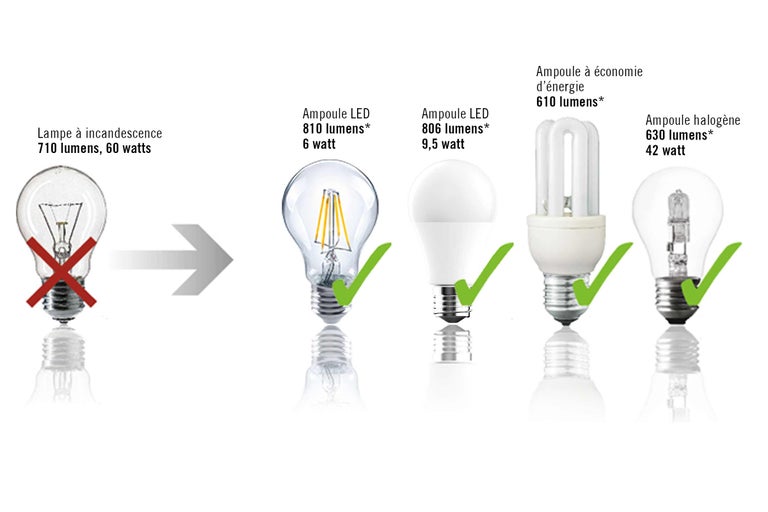 Comparaison entre une lampe à incandescence, une ampoule LED, une ampoule à économie d'énergie et une ampoule halogène