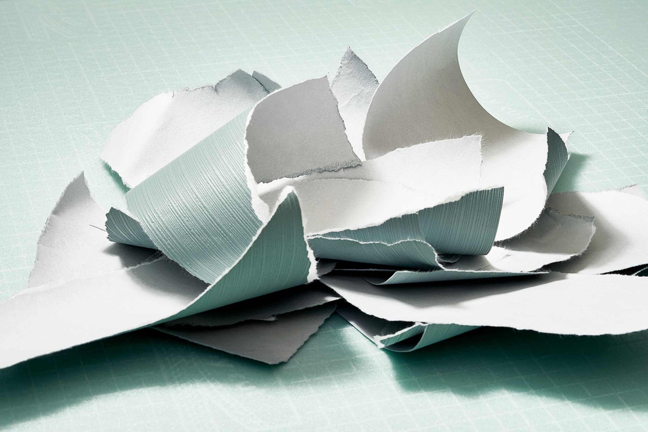 Morceaux de papier déchirés