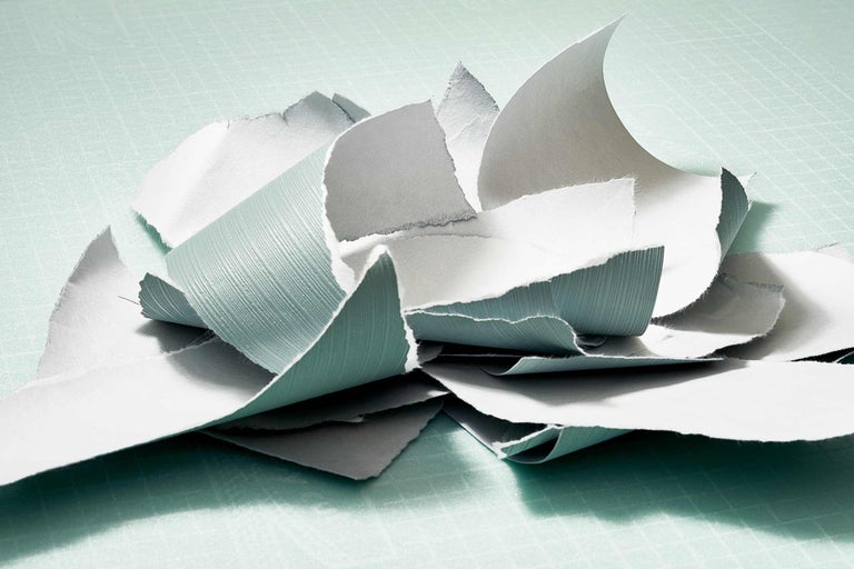 Morceaux de papier déchirés