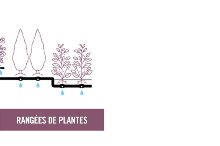 Illustration d'un système d'irrigation pour les rangées de plantes