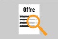Symbole pour une offre détaillée avec une loupe au-dessus d'un document