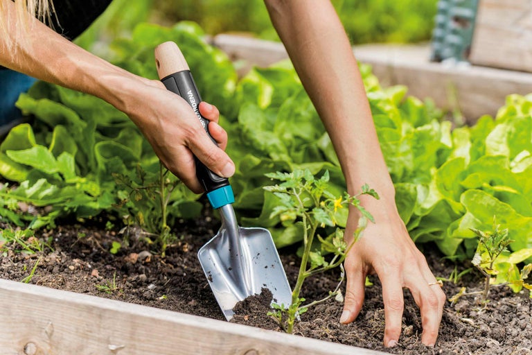 Une personne utilise une petite pelle de jardin pour planter dans un potager surélevé.