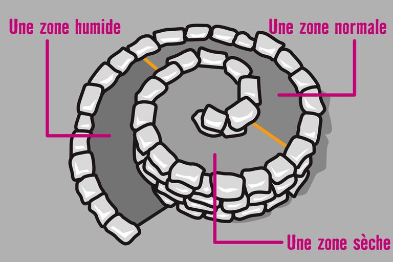 Illustration d'une spirale d'herbes aromatiques avec des zones pour différents besoins en humidité