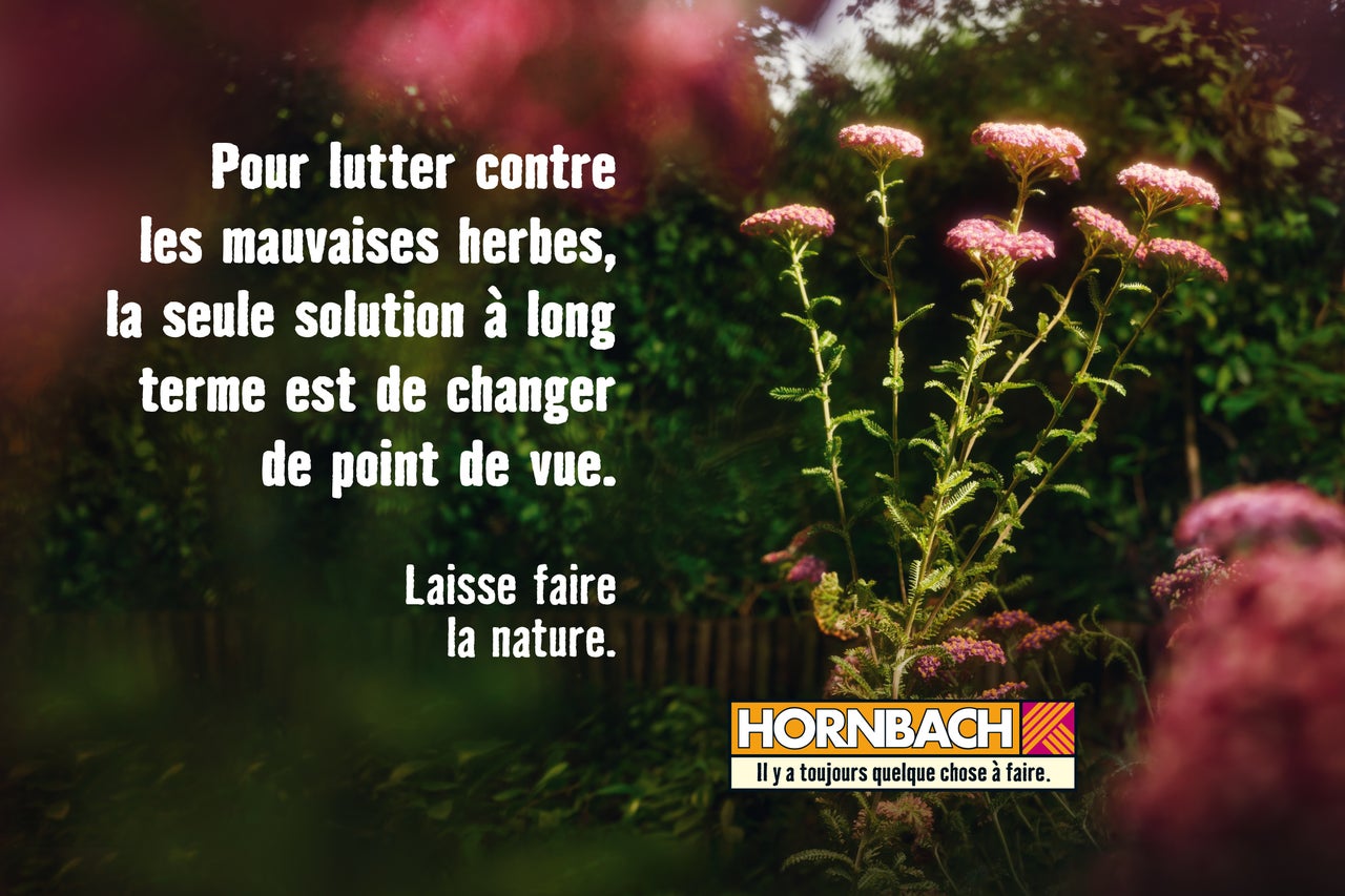 Ambiance de jardin décorative avec plantes fleuries et logo Hornbach