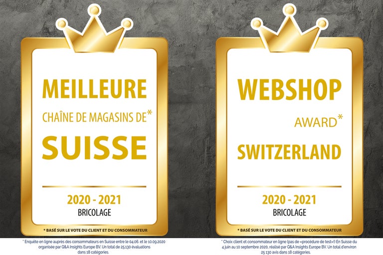 Magasin de bricolage de l'année 2020/2021