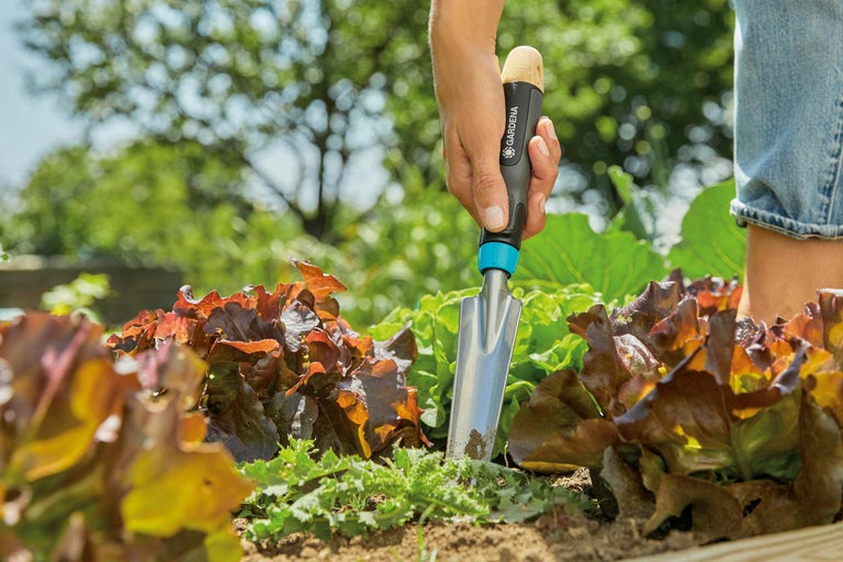 Jardinier plantant de la salade avec une petite pelle de jardin Gardena
