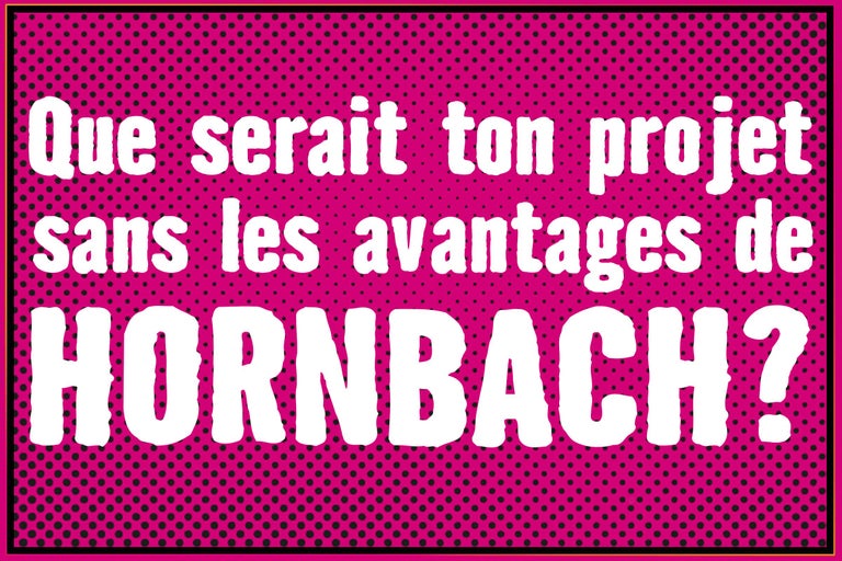 Quel serait votre projet sans les avantages de Hornbach ?