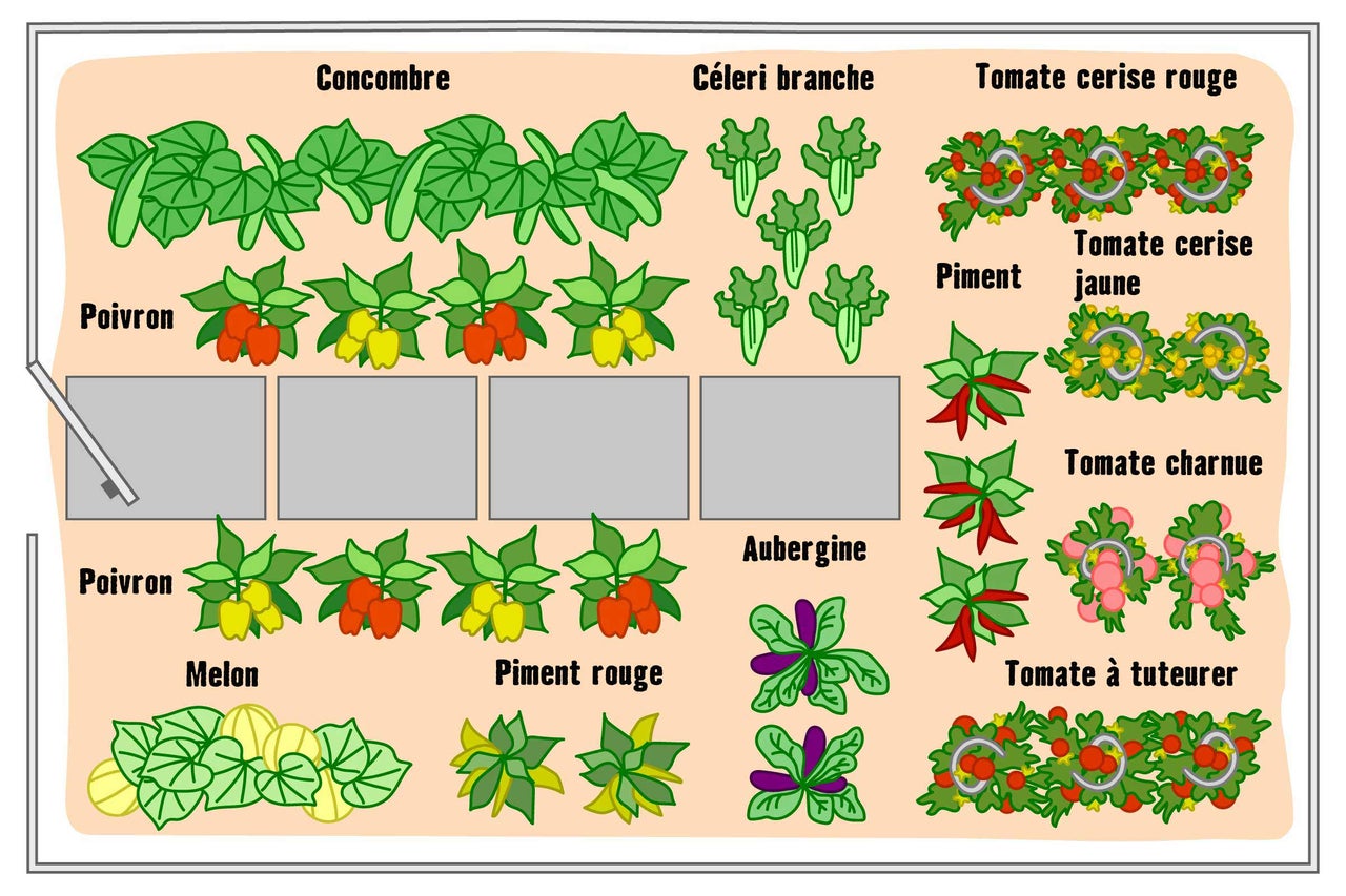Illustration d'un potager avec différents types de légumes