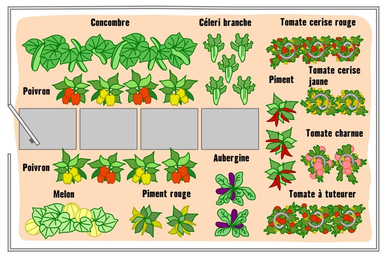 Illustration d'un potager avec différents types de légumes