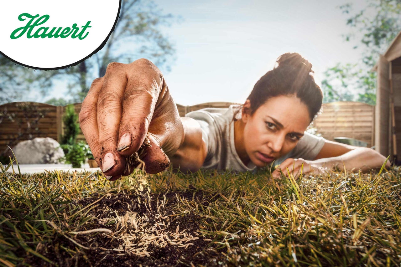 Femme semant des graines de gazon sur une pelouse. Logo Hauert.
