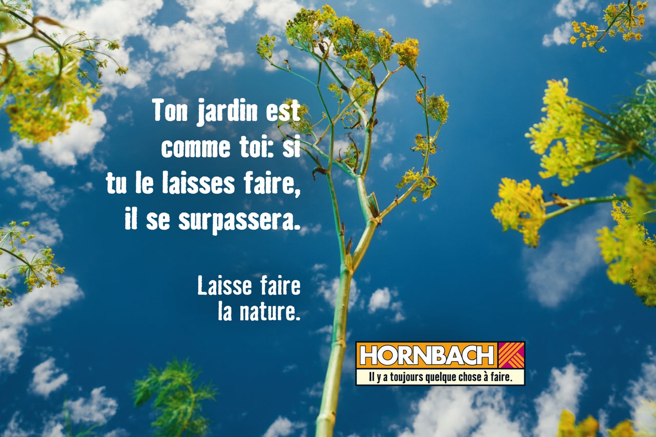 Scène de jardin avec des plantes et le logo Hornbach.